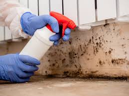 Best Crawl Space Mold Remediation  in Heartland, TX